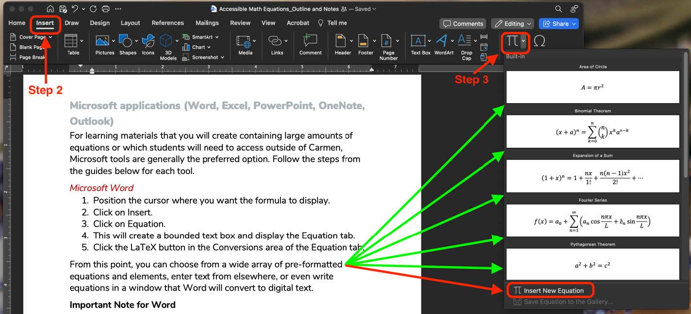 Screenshot displaying steps 1-3 above, as well as displaying preformatted equation options. 