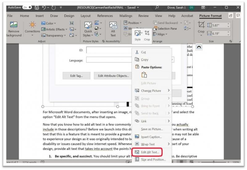 Screenshot of a Word document with an image added. A right click box has appeared and "Edit Alt Text..." is circled in red. 