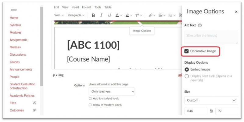 Screenshot of Carmen course page with an  Image Options sidebar opened showing a marked checkbox with the words "Decorative Image" circled in red. 