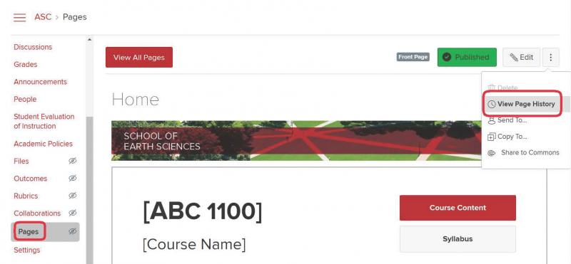 Screenshot of Carmen course page with "Pages" and "View Page History" circled in red