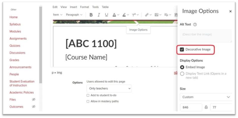 Screenshot of Carmen course page with an Image Options sidebar opened showing a marked checkbox with the words "Decorative Image" circled in red.