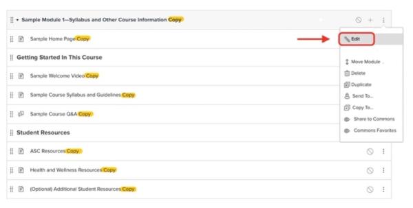 Screenshot of a duplicated Module displaying the word "Copy" at the end of each item, and showing an open option menu in the Module header. "Edit" is circled in red in this menu.