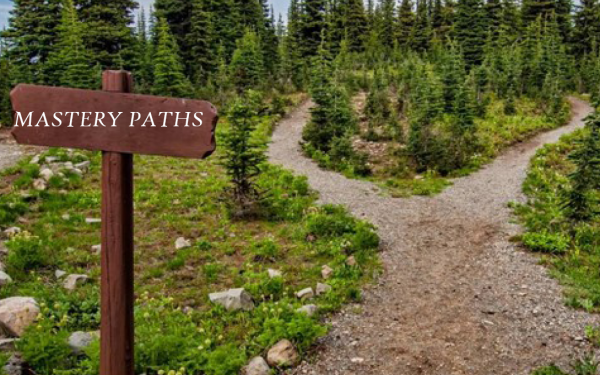 Wooded path that splits in two directions