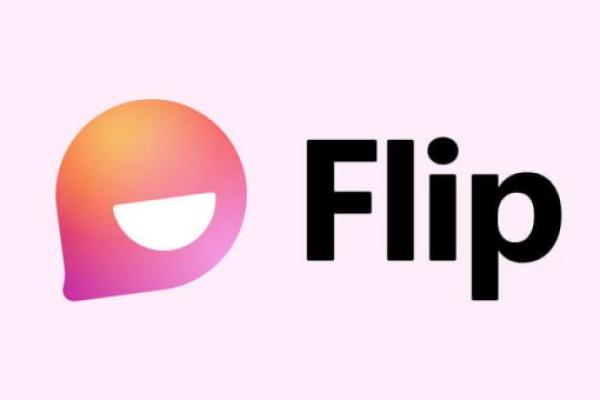 Microsoft Flip Icon